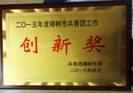 集團(tuán)團(tuán)委獲2015年度樟樹市共青團(tuán)工作創(chuàng)新獎.jpg
